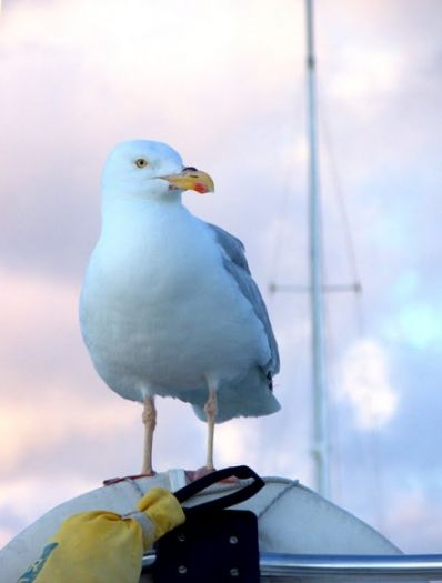 DSCF0139