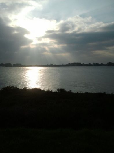 Photo0110