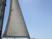 IMG_8876